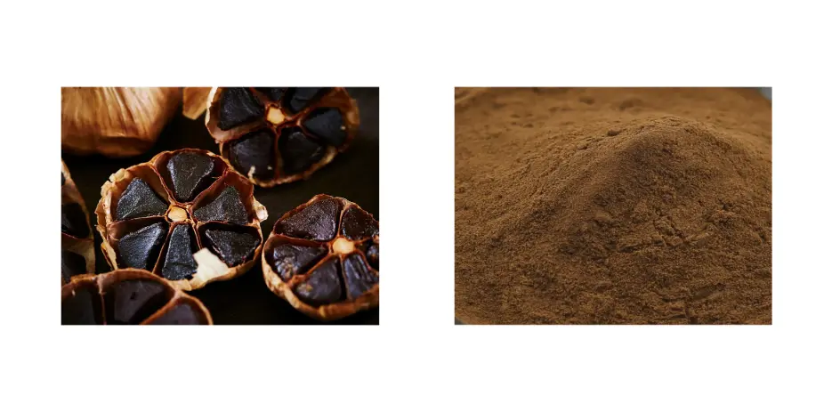 Black Garlic Extract Powder 5% Black Garlic Extract Powder 5%