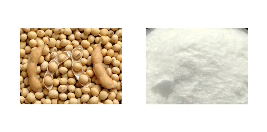 Phytosterols 95% Phytosterols 95%