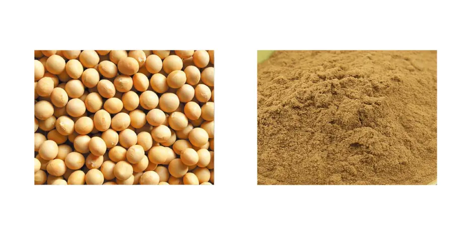 Soy Isoflavones 5% Powder Soy Isoflavones 5% Powder