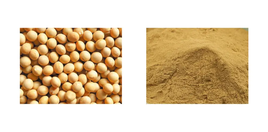 Soy Isoflavones 20% Plant Extract Powder Soy Isoflavones 20% Plant Extract Powder