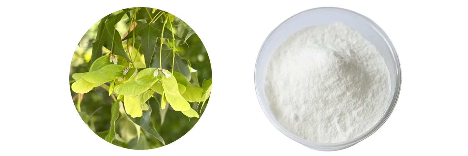 Nervonic Acid Powder Nervonic Acid Powder