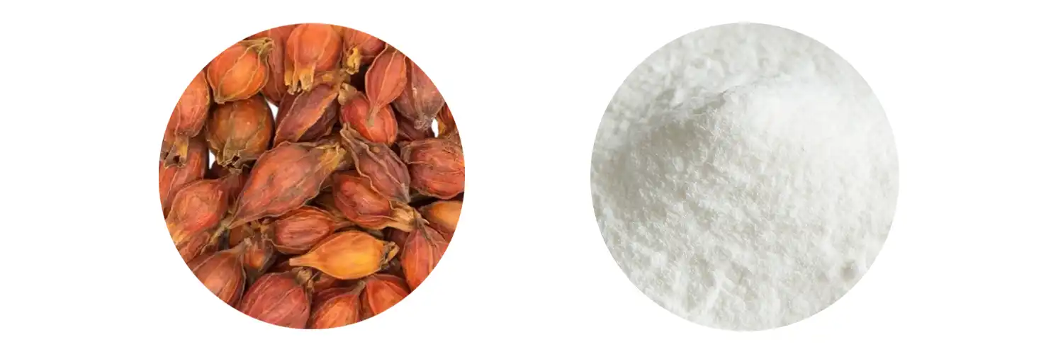 Genipin Powder Genipin Powder