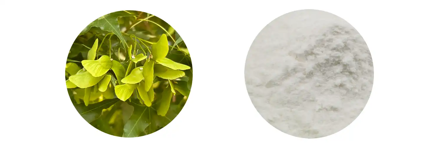 Nervonic Acid Powder Nervonic Acid Powder