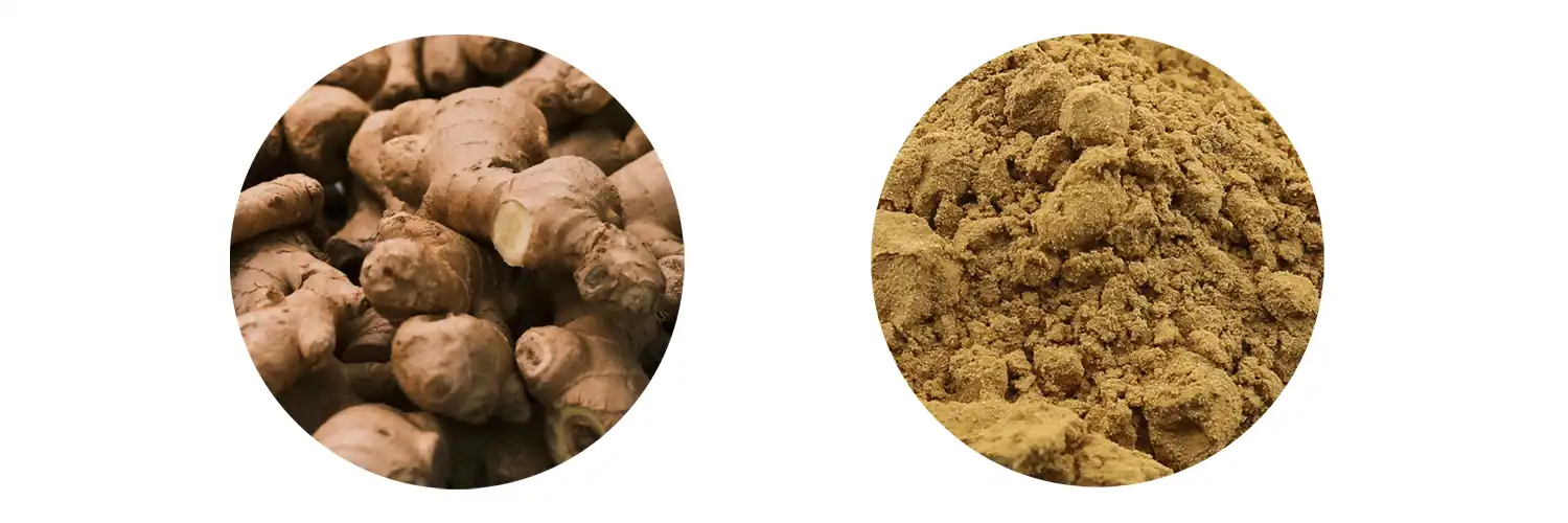 Natural Ginger Extract Natural Ginger Extract