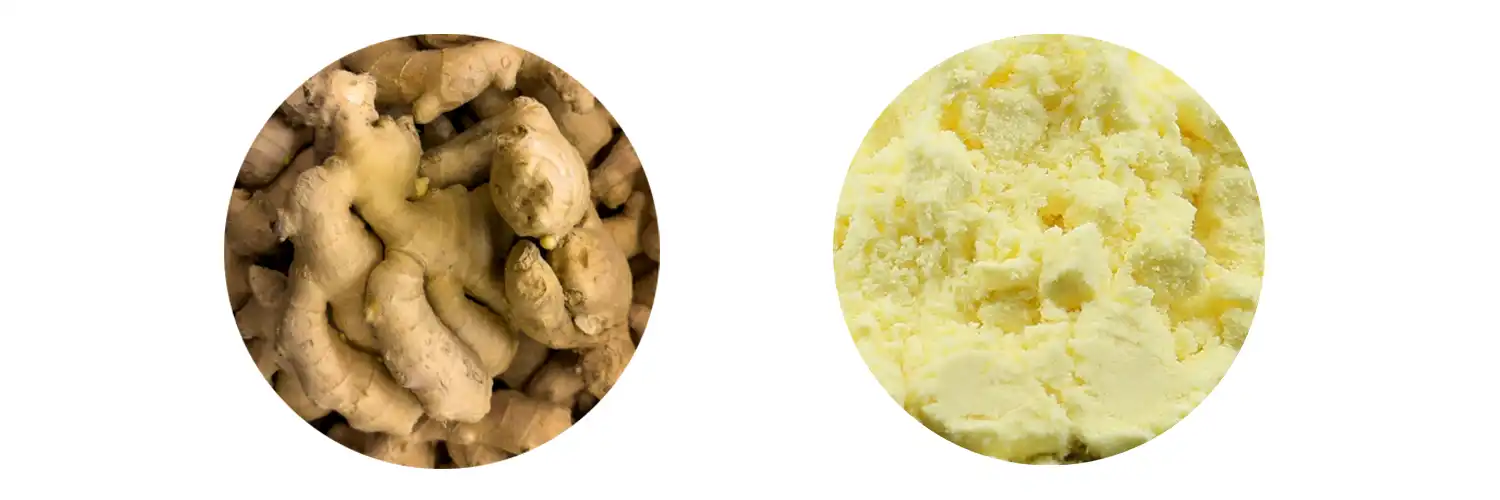Water soluble ginger powder Water soluble ginger powder