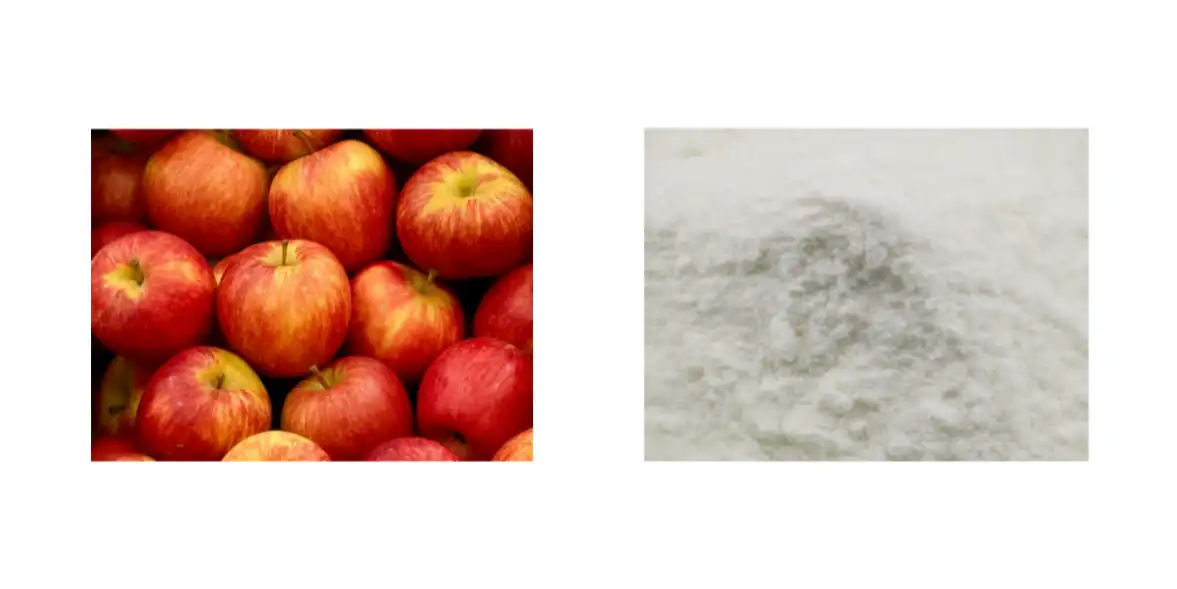 Apple Cider Vinegar Powder Bulk Apple Cider Vinegar Powder Bulk
