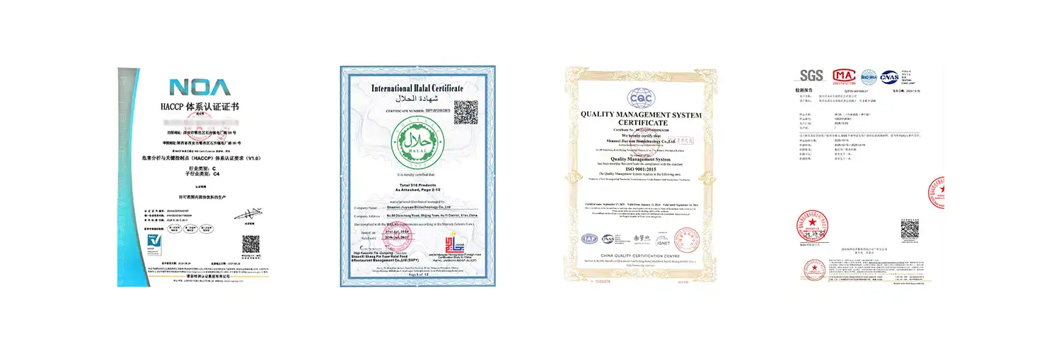 Quality Assurance and Essential Certifications Quality Assurance and Essential Certifications