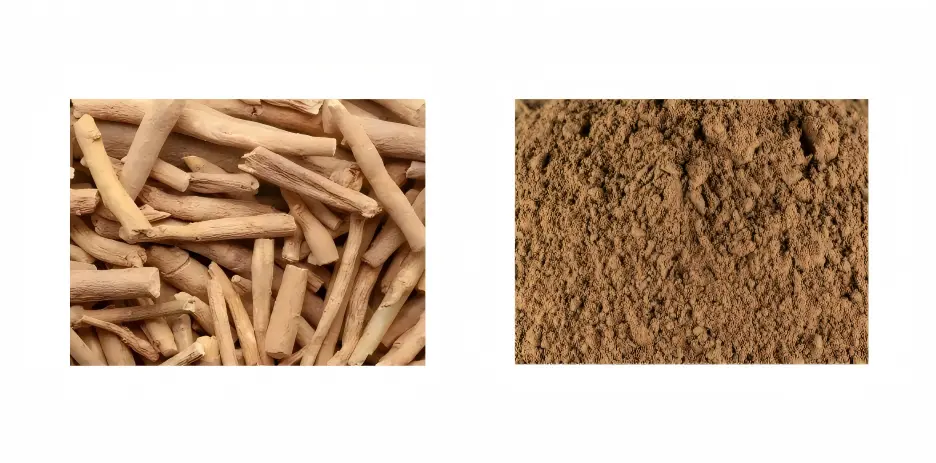 Best Ashwagandha Extract Best Ashwagandha Extract
