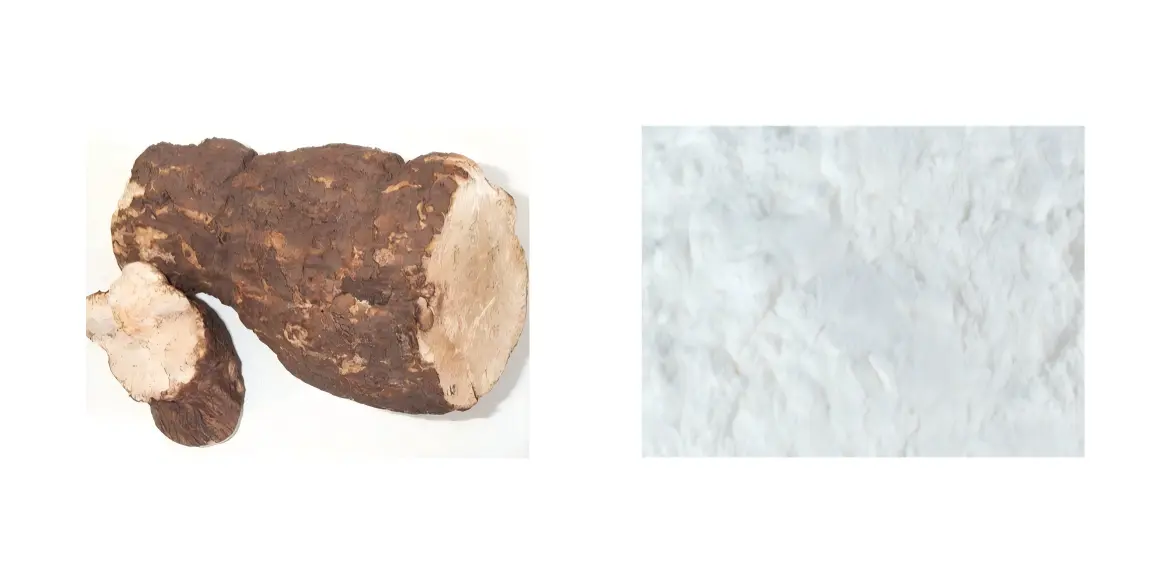 Poria Cocos Extract Poria Cocos Extract