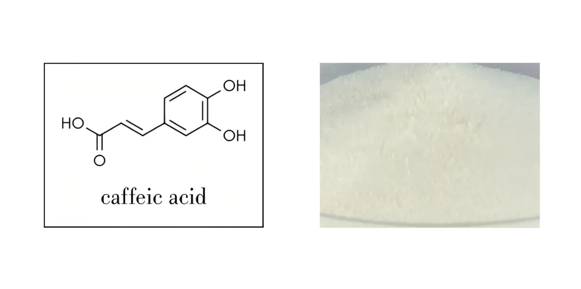 Caffeic Acid Powder Caffeic Acid Powder