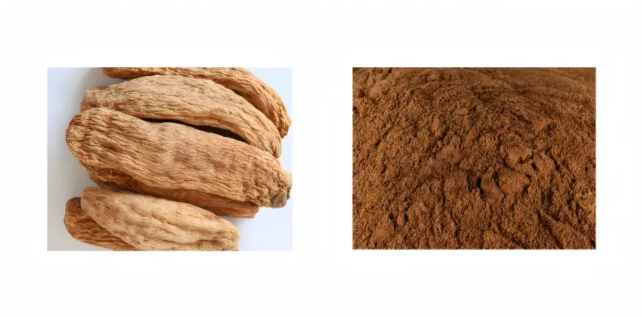 Gastrodia Elata Extract Gastrodia Elata Extract