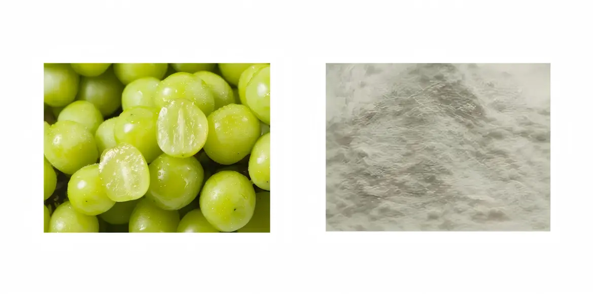 Green Grape Powder Green Grape Powder