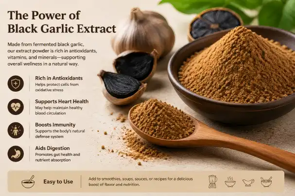 Black Garlic Extract Powder Black Garlic Extract Powder