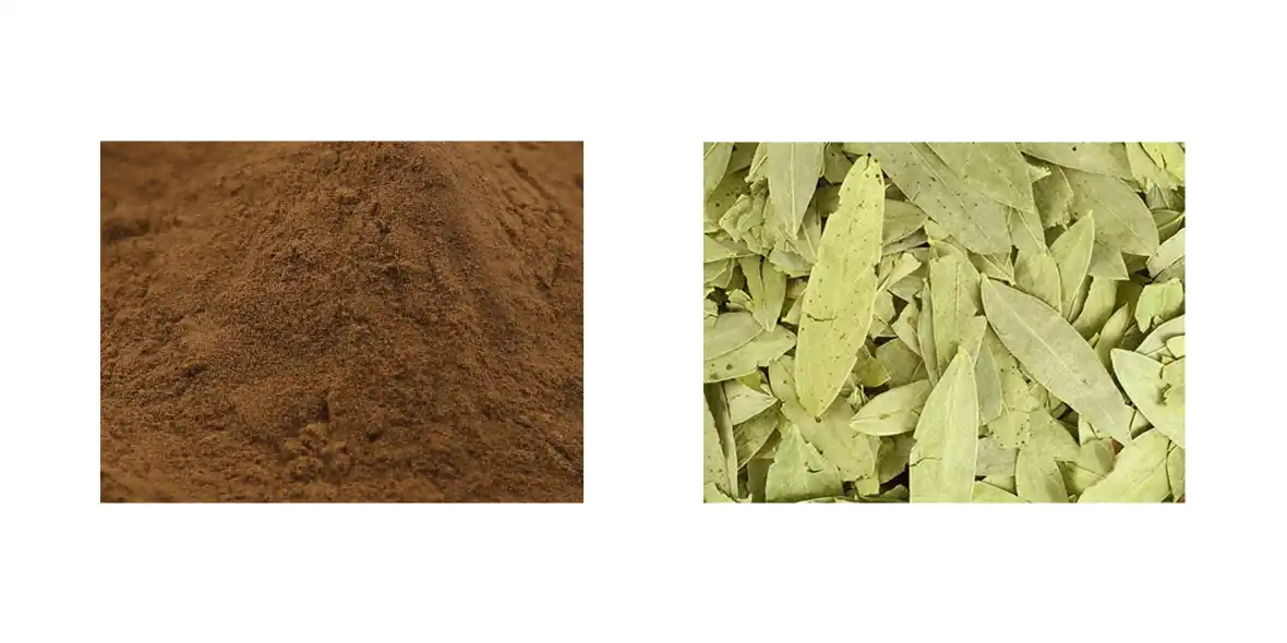 Senna Leaf Extract Powder Senna Leaf Extract Powder