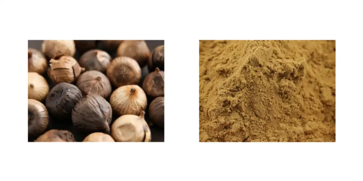 Black Garlic Extract Powder Black Garlic Extract Powder