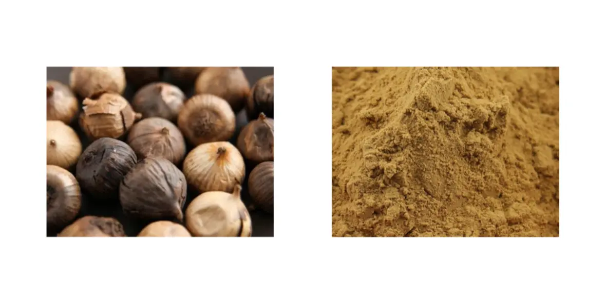 Black Garlic Extract Powder Black Garlic Extract Powder