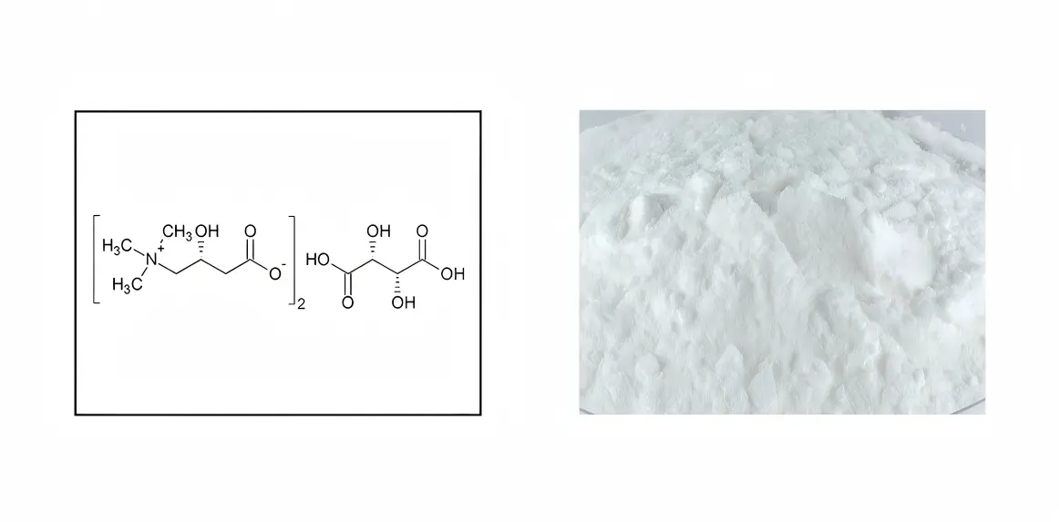L-Carnitine Tartrate Powder L-Carnitine Tartrate Powder