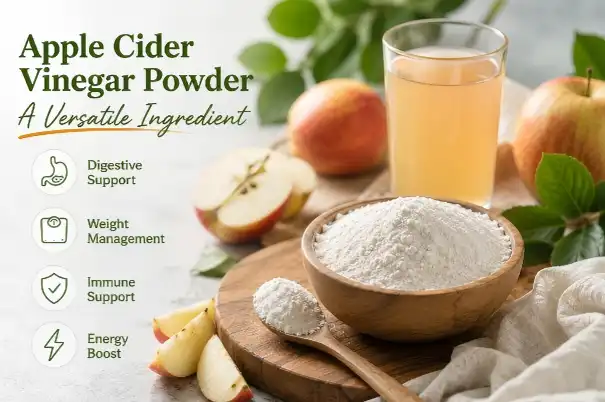 Apple Cider Vinegar Powder Bulk Apple Cider Vinegar Powder Bulk