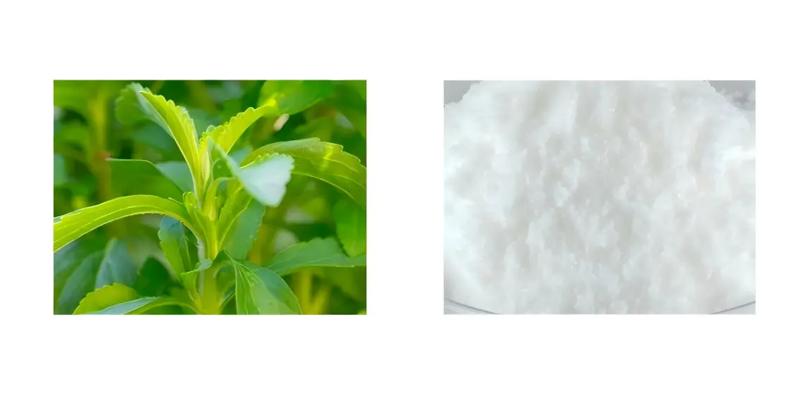 Steviol Glycosides Powder Steviol Glycosides Powder