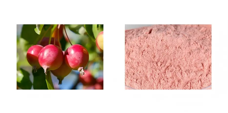 Crabapple Powder Crabapple Powder