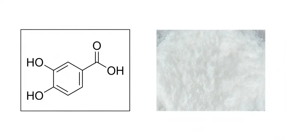 Protocatechuic Acid Powder Protocatechuic Acid Powder