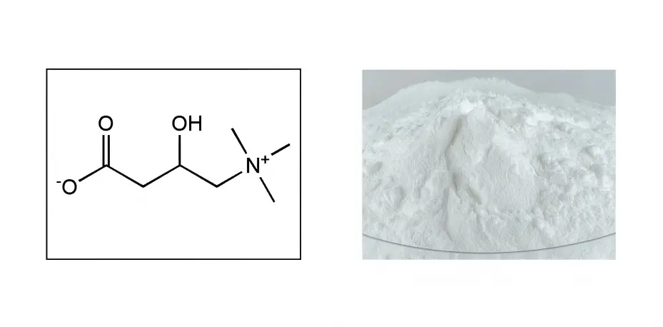 L-Carnitine 50% L-Carnitine 50%