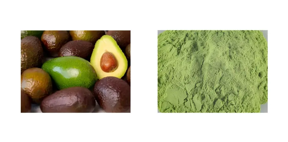Avocado Extract Avocado Extract