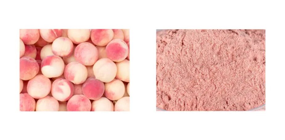 Peach Extract Powder Peach Extract Powder