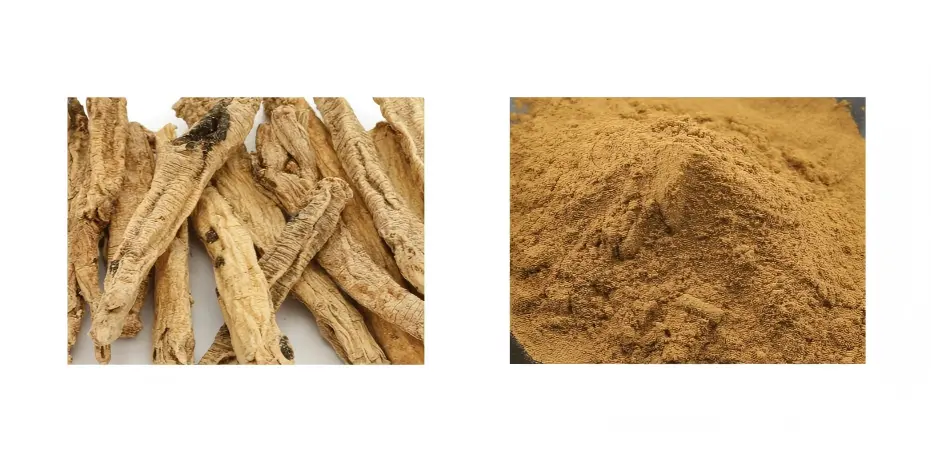 Codonopsis Root Extract Codonopsis Root Extract