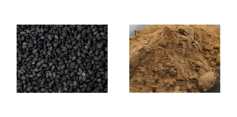 Black Sesame Extract Black Sesame Extract