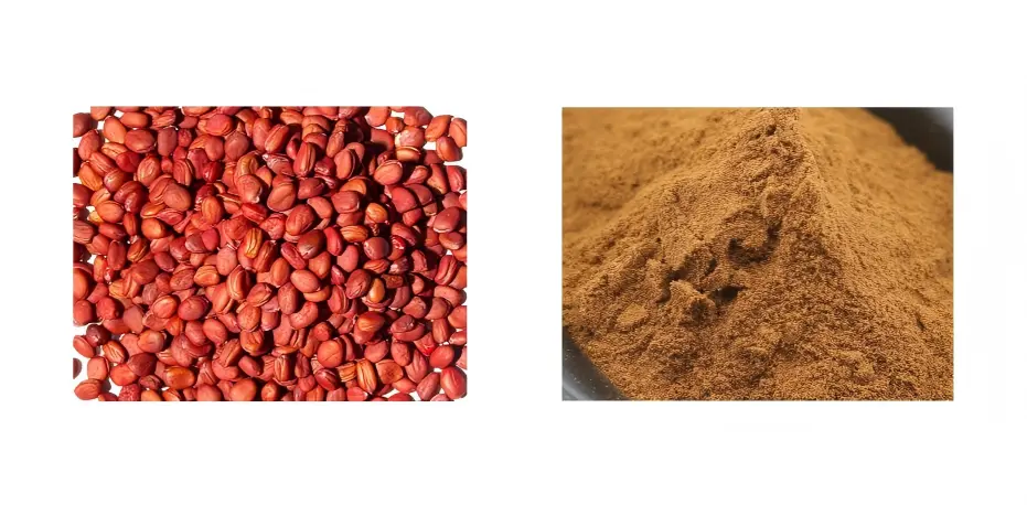 Radish Seed Extract Radish Seed Extract