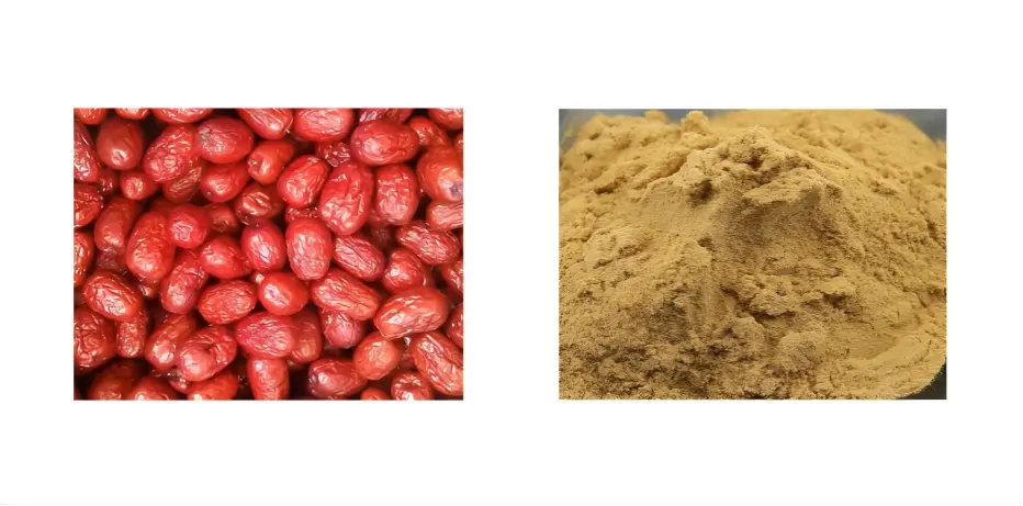 Jujube Extract Jujube Extract