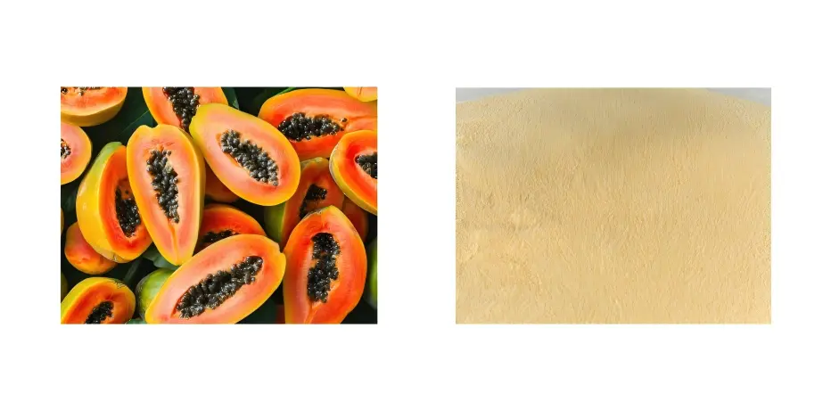 Papaya Extract Papaya Extract