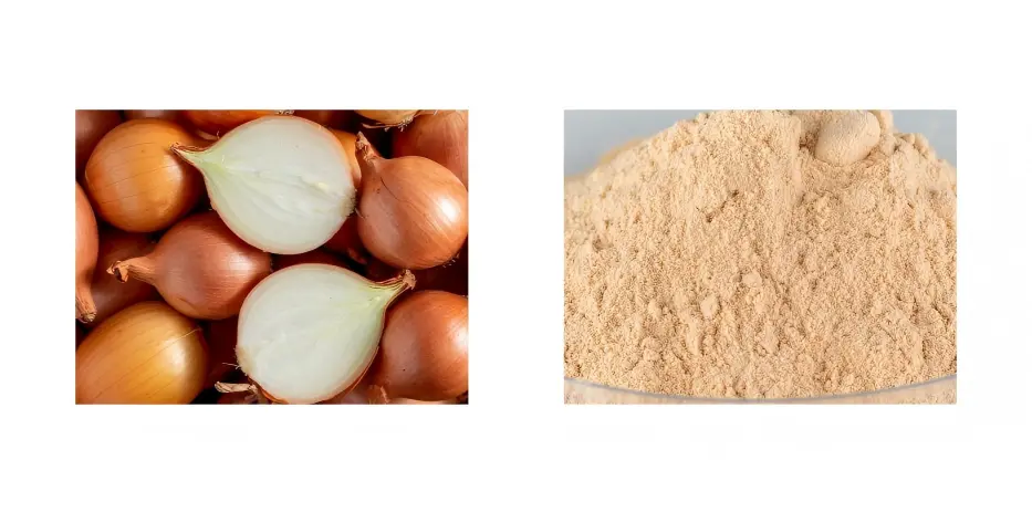 Bulk Onion Powder Bulk Onion Powder