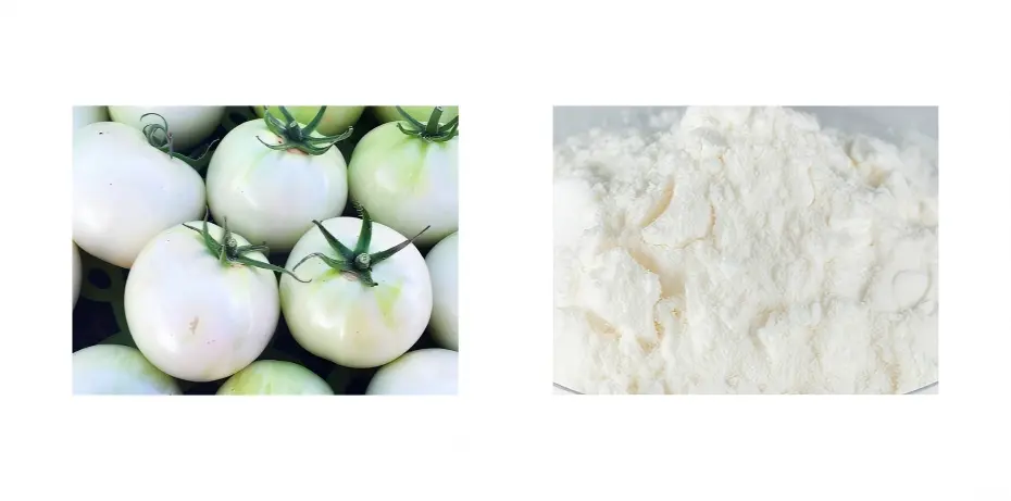 White Tomato Powder White Tomato Powder
