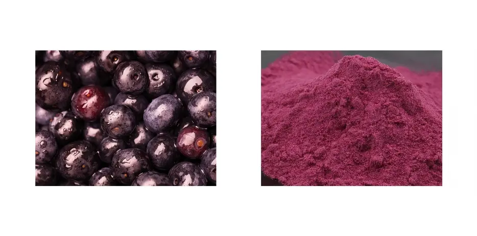 Acai Berry Powder Acai Berry Powder