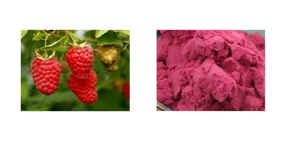 Raspberry Powder Raspberry Powder