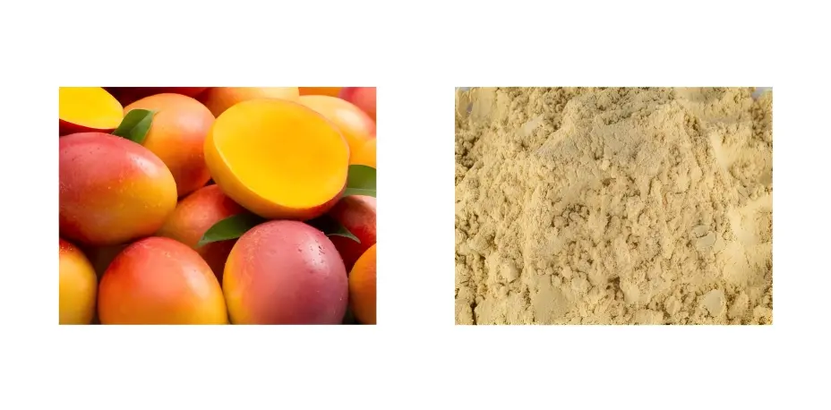 Bulk Mango Powder Bulk Mango Powder