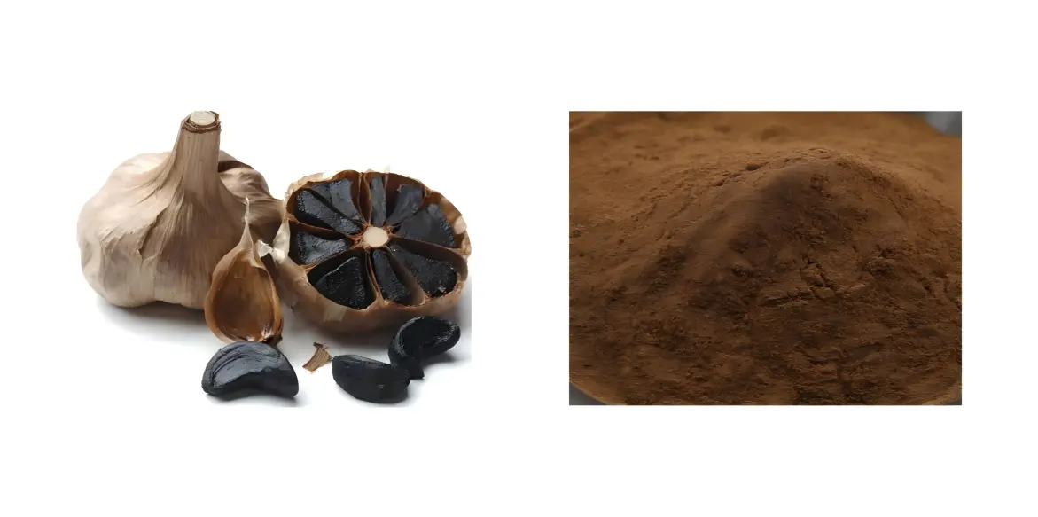 Black Garlic Powder Black Garlic Powder