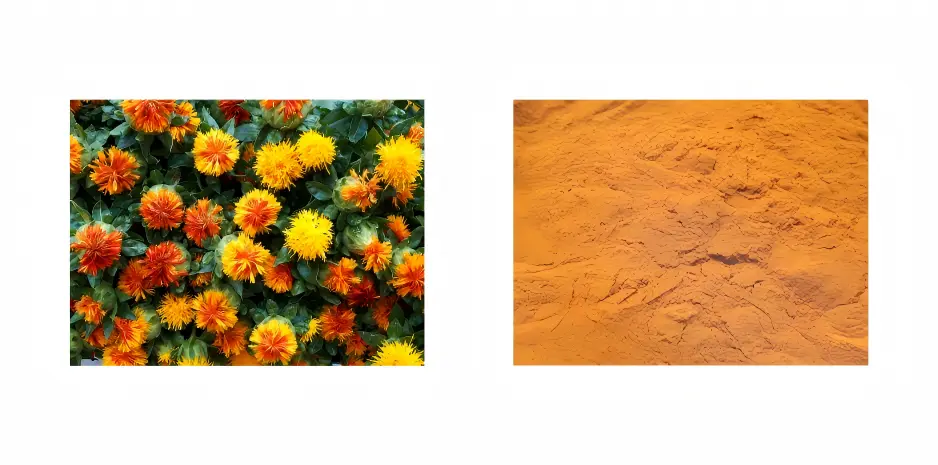 Safflower Yellow Pigment Powder Safflower Yellow Pigment Powder