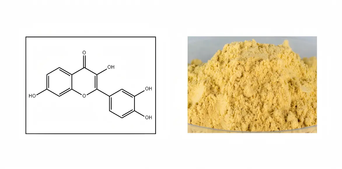 Fisetin Powder Fisetin Powder