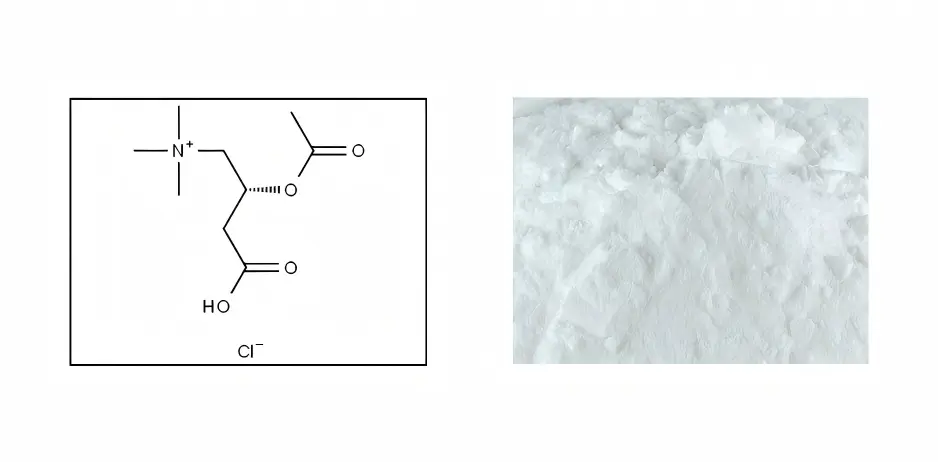 Acetyl L-Carnitine Powder Acetyl L-Carnitine Powder
