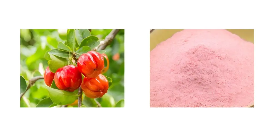 Acerola Cherry Powder Acerola Cherry Powder
