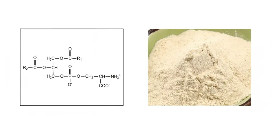 Phosphatidylserine Powder Phosphatidylserine Powder