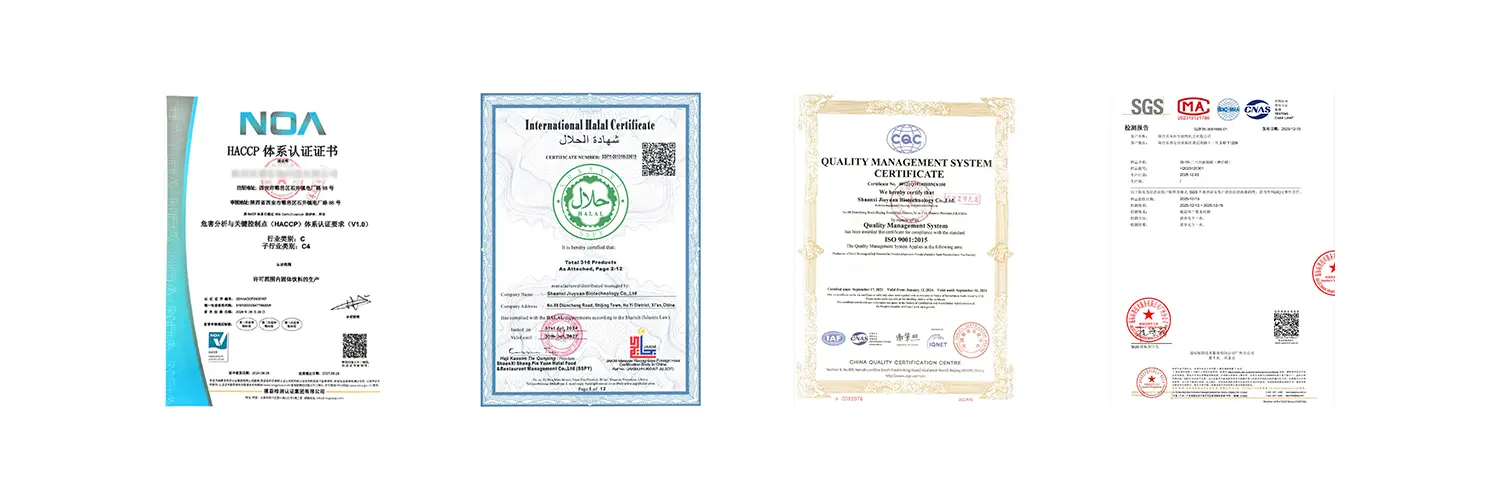 Certification Certification