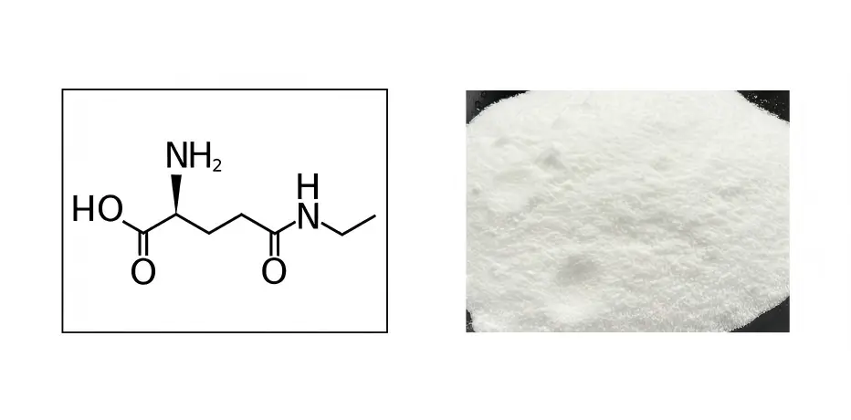 Bulk L-Theanine Powder Bulk L-Theanine Powder
