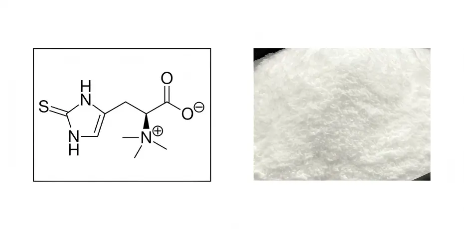 Ergothioneine Powder Ergothioneine Powder