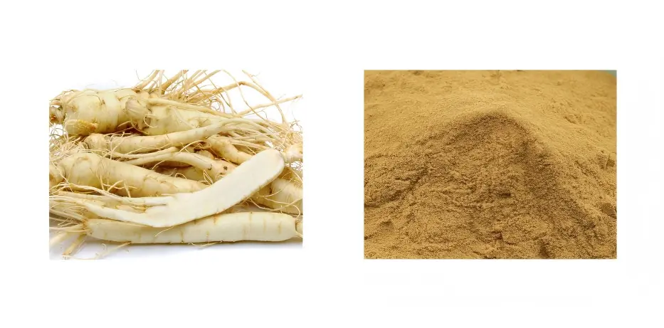 American Ginseng Extract American Ginseng Extract