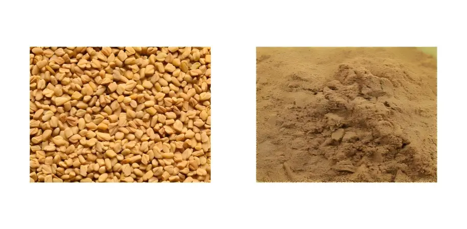 Fenugreek Extract Powder Fenugreek Extract Powder