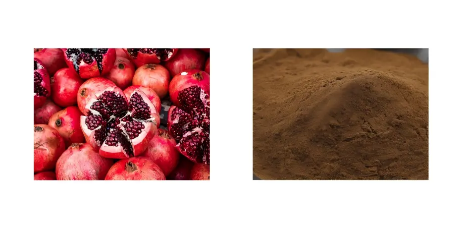 Pomegranate Extract Pomegranate Extract